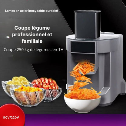 Coupe legume electrique multifonction professionnel familiale laniere
