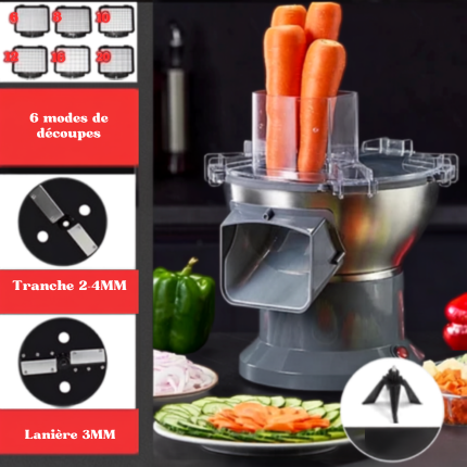 Coupe legume electrique professionnel 6 modes de decoupes